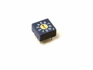 DIP-����, 10 �������, ��� "rotary" (SWD-10)